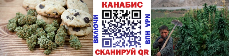 Купить  Михайловск  Canna-Cookies конопля 