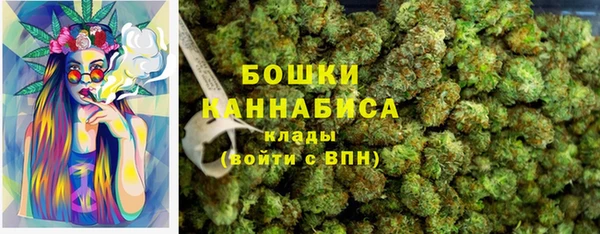 СК Волосово
