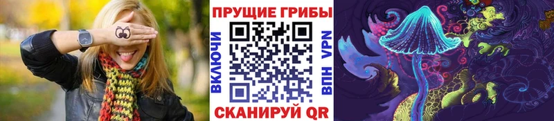 Купить  Михайловск  Галлюциногенные грибы Psilocybine cubensis 